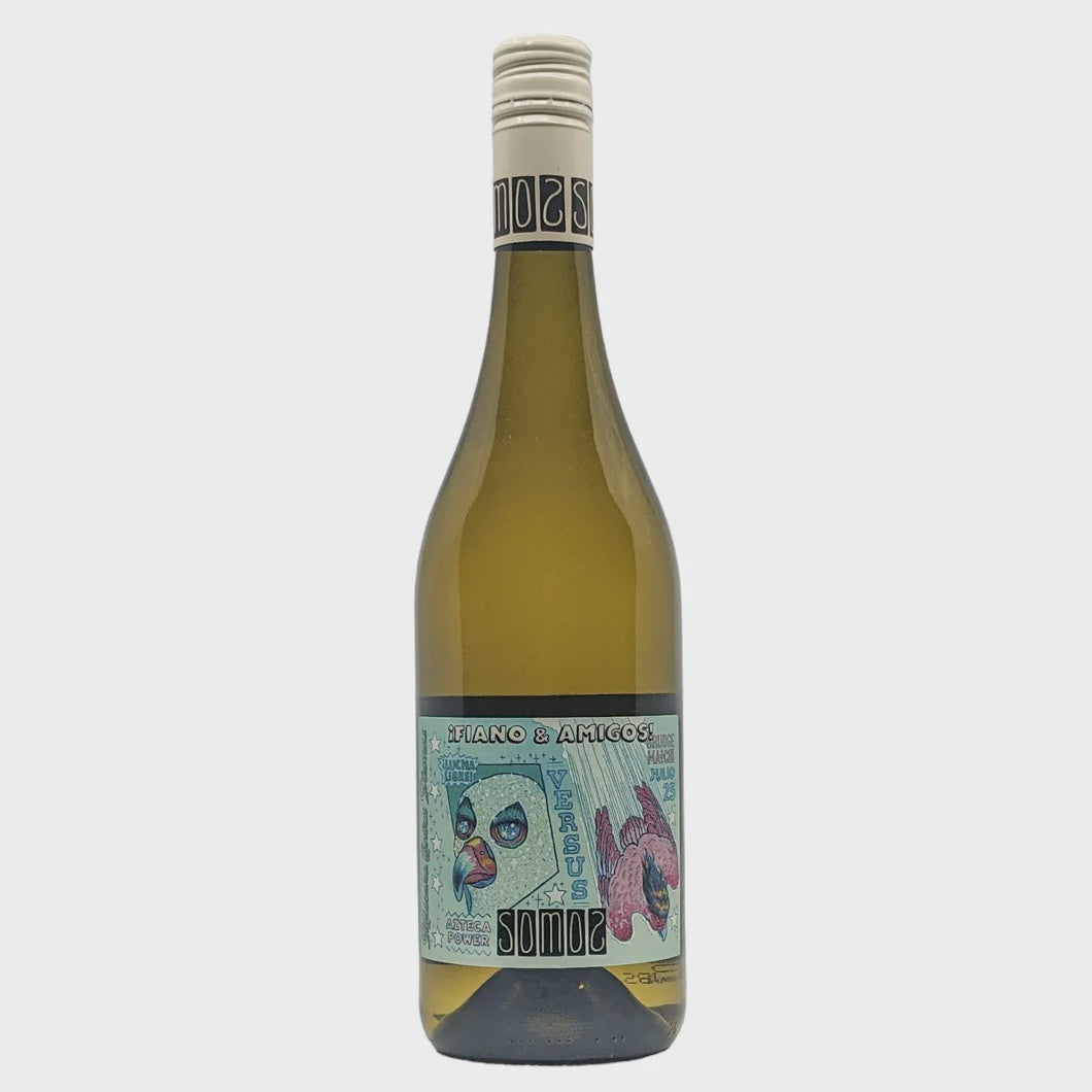 Somos iFiano & Amigos! 2024 Somos iFiano & Amigos! 2024