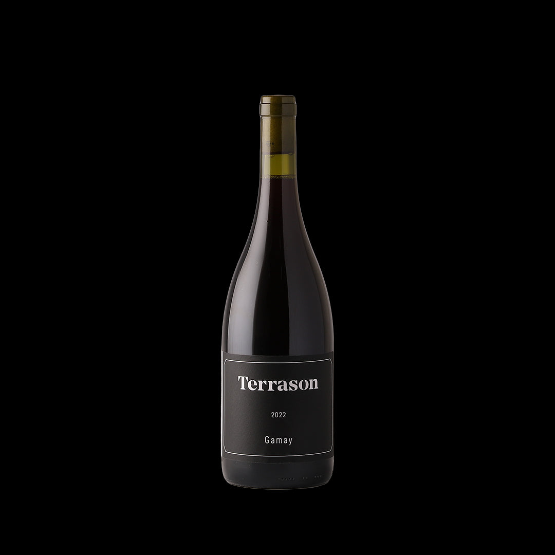 Terrason Gamay 2022 Terrason Gamay 2022