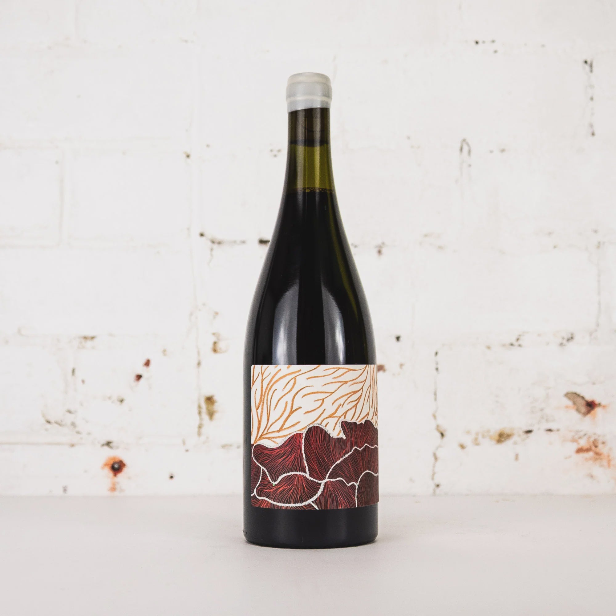 Future Perfect Shiraz 2024 Future Perfect Shiraz 2024