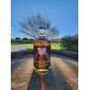 Island Coast Spirits Butterscotch Schnapps