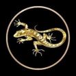 Golden Lizard