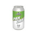 2 Brother Pay Day Pale Ale 375ml