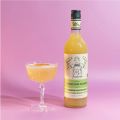 Mr. Consistent CLASSIC LIME DAIQUIRI MIXER (750mL 10 SERVES)