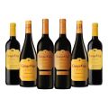 Campo Viejo Spanish Red Wine Pack (Case of 6)