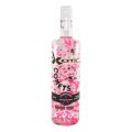 Xotic Comets Strawberry 750mL