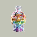 Crystal Head Paint Your Pride  Limited Edition Vodka 700mL