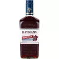 Haymans Sloe Gin 6x700Ml