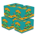 Sierra Nevada Trail Pass Non-Alcoholic Hazy IPA 355ml