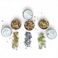GOURMET WOOD CHIP COLLECTION BY THE BALMAIN BARMAID