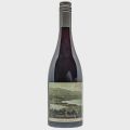 2024 Stargazer Palisander Pinot Noir