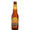 Matso's Mango Beer (24 x 330mL)