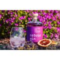 Drifters End Nebula Gin