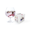 Secco Spiced Pomegranate Drink Infusion Box - 8 Sachets