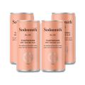 Sodasmith No. 05 Dry Ginger Ale 200ml