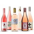 Rose Radiance: Premium Alcohol Removed Rose Bundle (6 Pack)