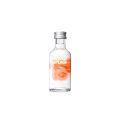 Absolut Apeach Peach Flavoured Swedish Vodka Glass Miniature 50mL