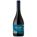 Terranoble Disidente Syrah - Tempranillo 2017