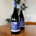 Trial Bay Estate Pinot Noir 2023