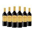 Campo Viejo Tempranillo (750ml) Case of 6