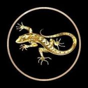 Golden Lizard