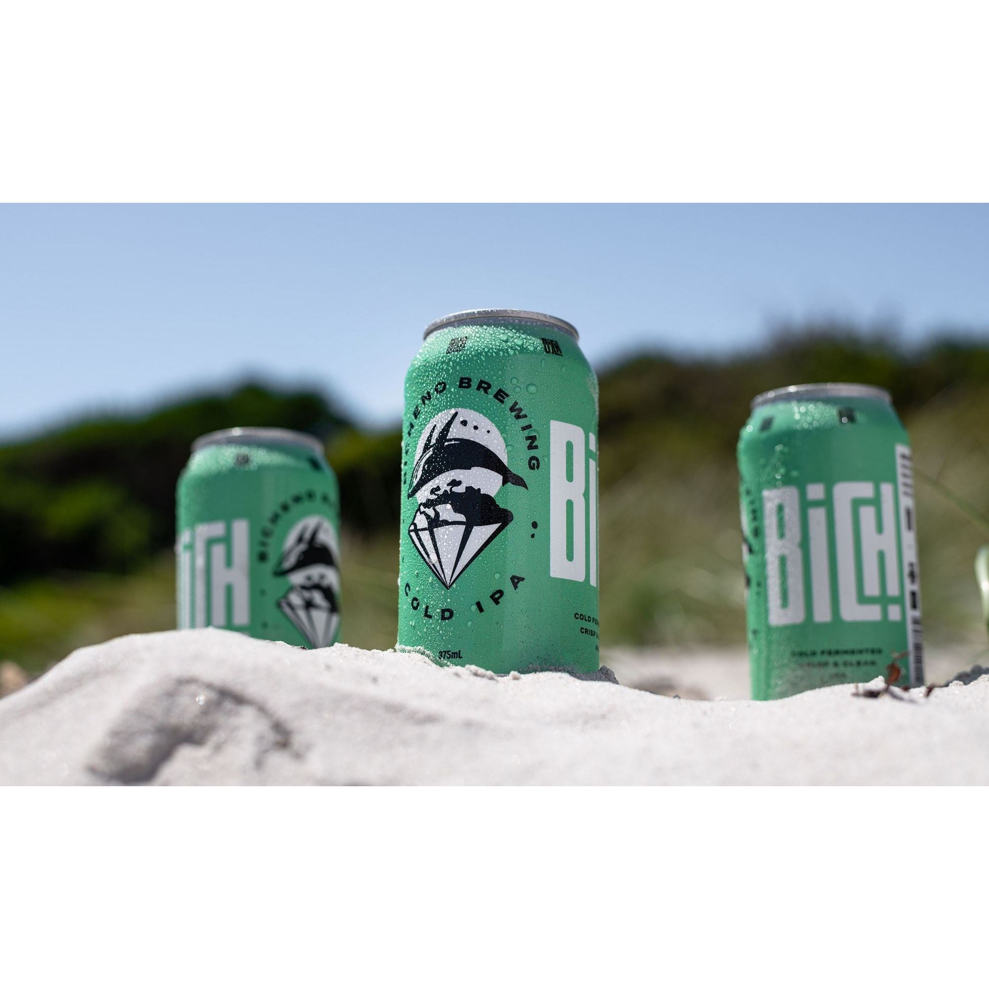 Bicheno Brewing Cold IPA 4 Pack