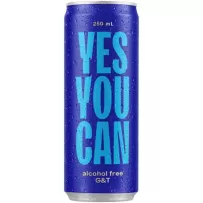 Yes You Can G&T Non Alcoholic 250ml
