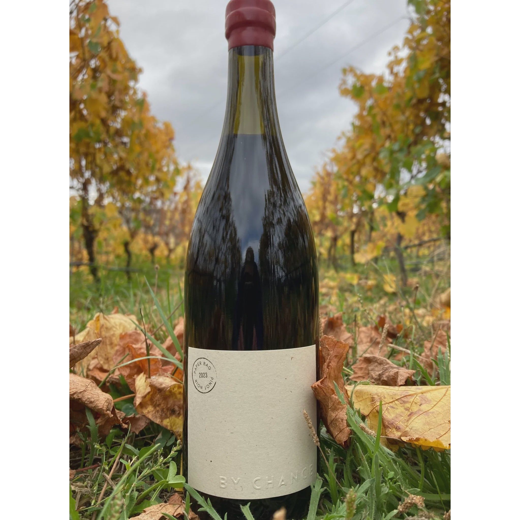 By Chance Paper Bag Pinot Noir