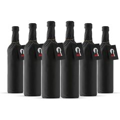 Secret Bottle Mystery Red Wine Pack (Case of 6)