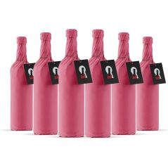 Secret Bottle Mystery Rosé Wine Pack (Case of 6)