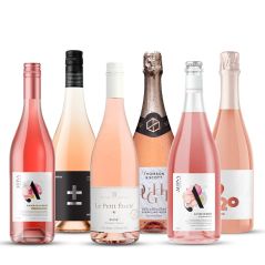 Rose Radiance: Premium Rose Collection (6 Pack)