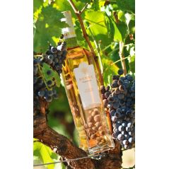 Chateau De Berne Provence Inspiration