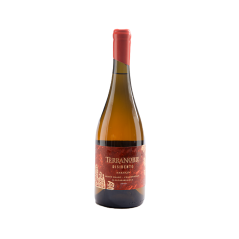 Terranoble Disidente Naranjo Skin Contact Pinot Blanc Chile 2020