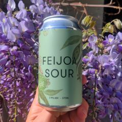 Feijoa Sour - Fruited Sour Beer | Miners Gold Brewery