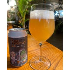 Welcome Swallow Hop Therapy #3 Hazy IPA 4 Pack