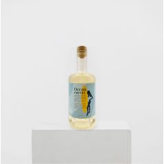 Bondi Liquor Co Ocean Martini 500ml