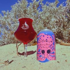 Sailors Grave x Hop Nation 'Commocean' Mulberry, Blueberry & Sea Fig Gose