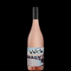 Small Wonder Rose 2024