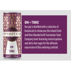 Spirited Classic Gin and Tonic
