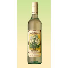 Spring Seed Wine Co ‘Poppy’ Pinot Grigio 2024