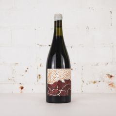 Future Perfect Shiraz 2024