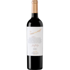 Bodgea Andeluna Pasionado Malbec 2019