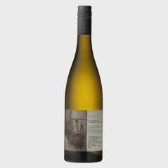 Stargazer Tupelo 2025