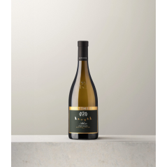 Kettmeir Athesis Pinot Bianco 2021