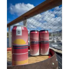 Spotty Dog 'Conway Scenic' Hazy IPA