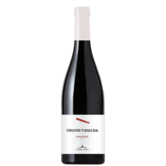 Torre Mora Chiuse Vidalba Etna Rosso 2021