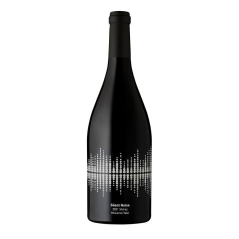 Silent Noise Reserve Shiraz