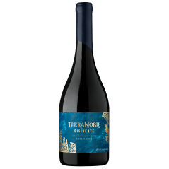 Terranoble Disidente Syrah - Tempranillo 2017