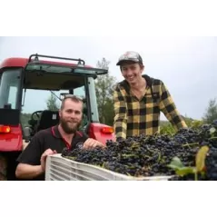 Macquariedale Rich Reds