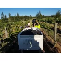 Macquariedale Rich Reds