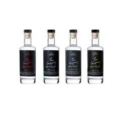 Mobius Distilling Co The Company You Keep Gin Tasting Pack 4x200ml